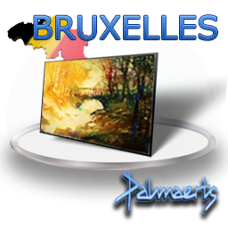 Stages_Bruxelles