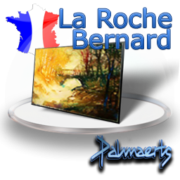stage_roland_laroche