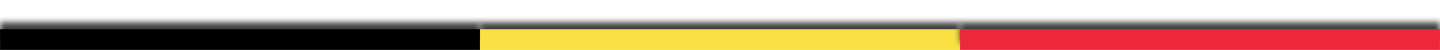 drapeau belge large